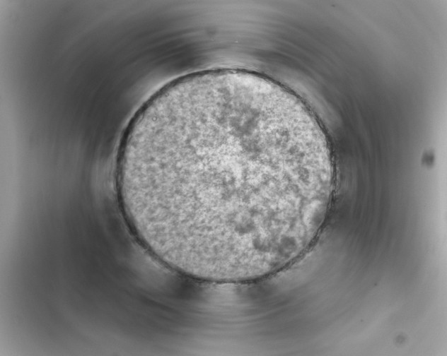 X0000103140828200809192003