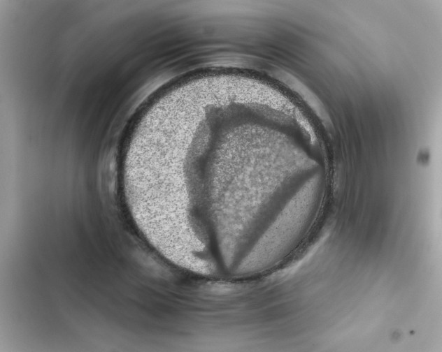 X0000103140829200809192003