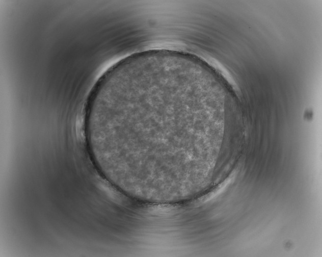 X0000103140830200809192003