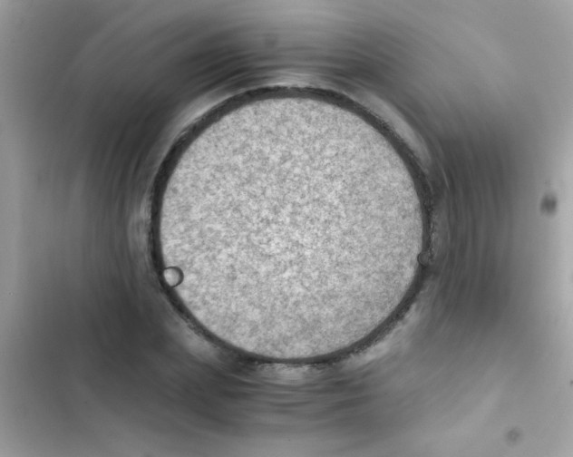 X0000103140831200809192003