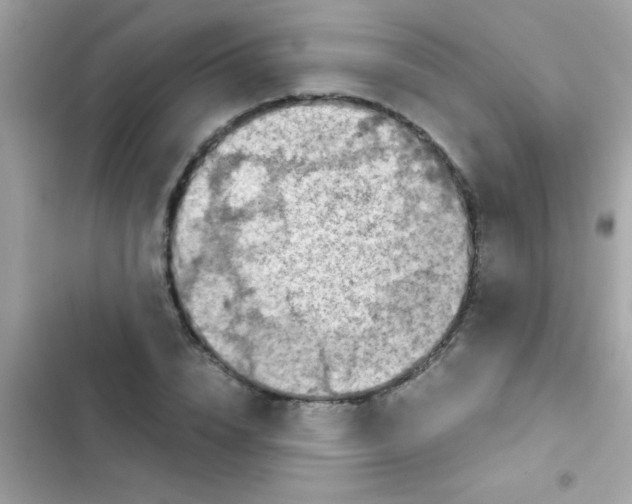 X0000103140832200809192003