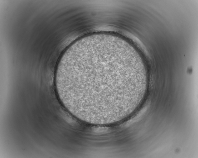 X0000103140833200809192003