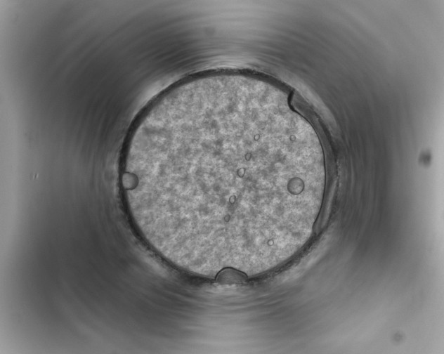 X0000103140834200809192003