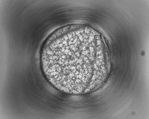 X0000103140835200809192003