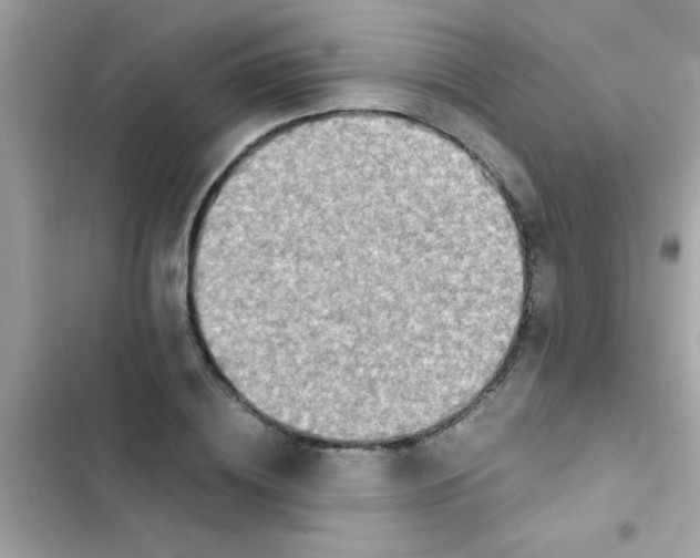 X0000103140836200809192003