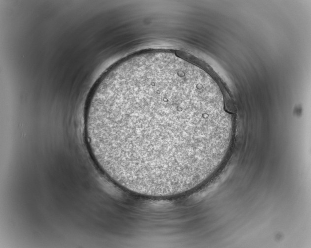 X0000103140837200809192003