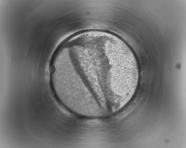 X0000103140838200809192003