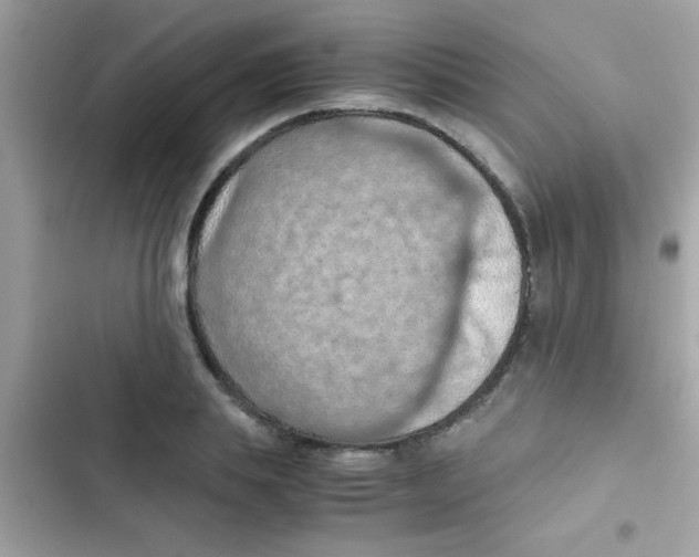 X0000103140839200809192003