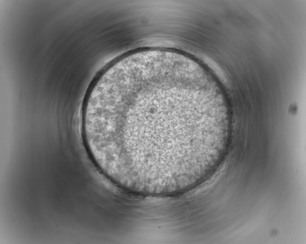 X0000103140840200809192003