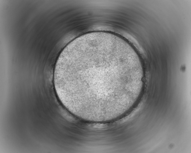 X0000103140841200809192003