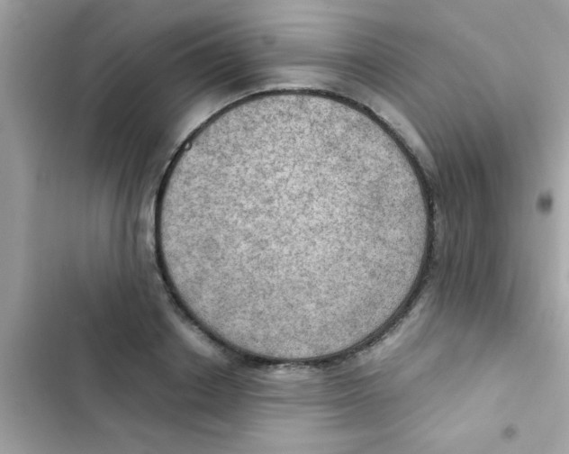 X0000103140842200809192003