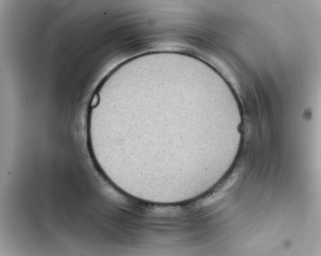 X0000103140843200809192003