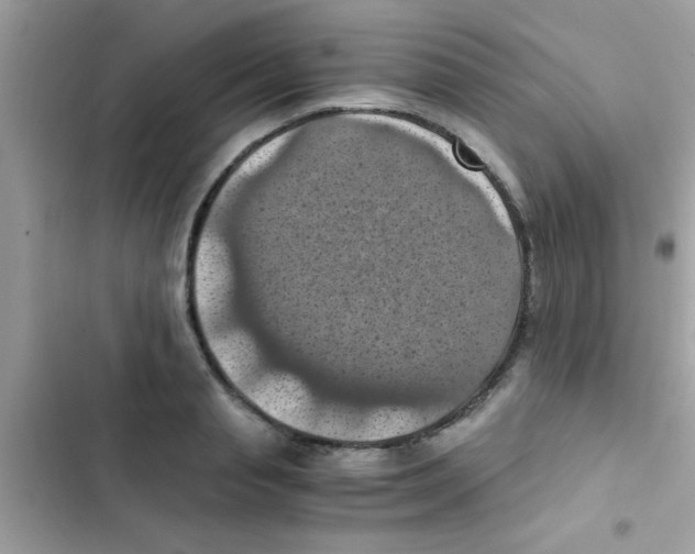 X0000103140845200809192003