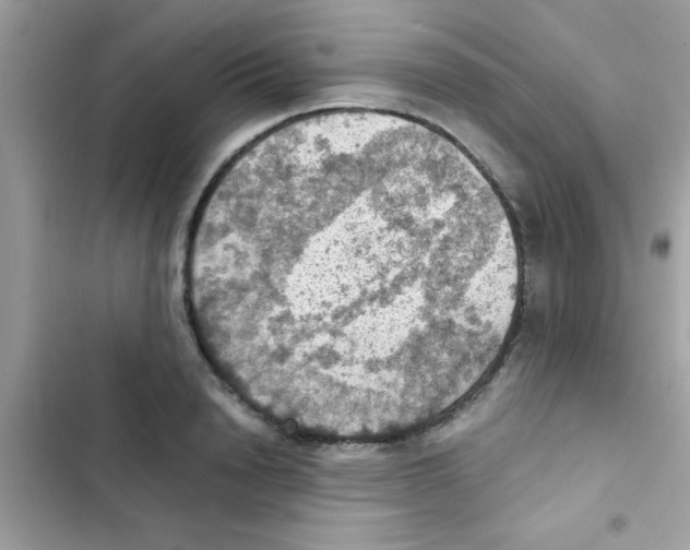 X0000103140846200809192003