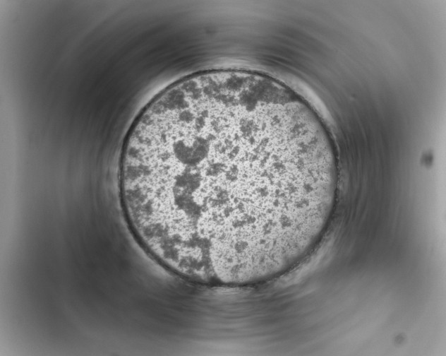 X0000103140847200809192003