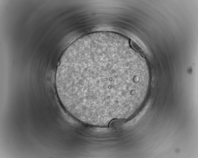 X0000103140849200809192003