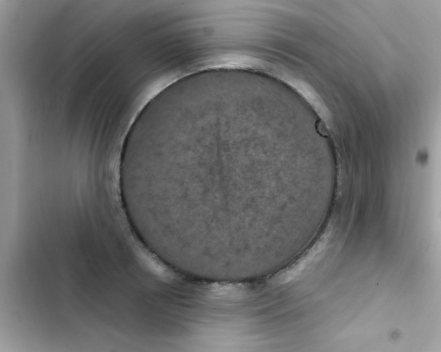 X0000103140850200809192003