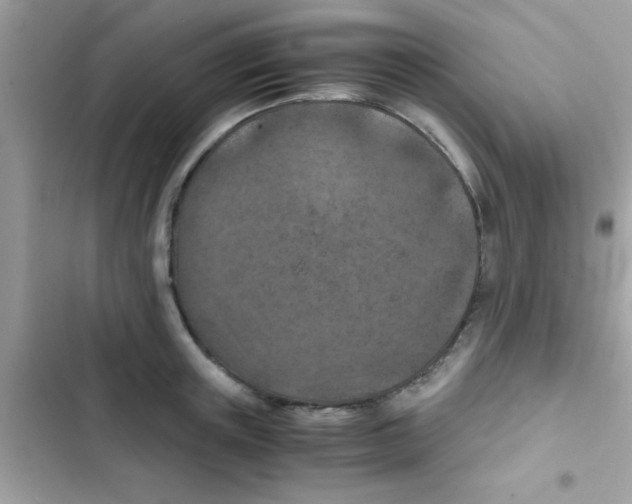 X0000103140851200809192003