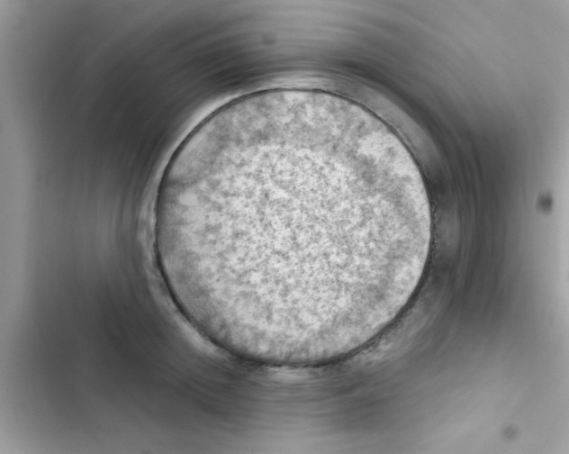 X0000103140852200809192003