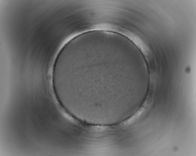 X0000103140854200809192003