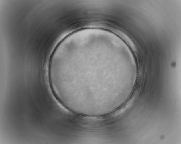 X0000103140855200809192003