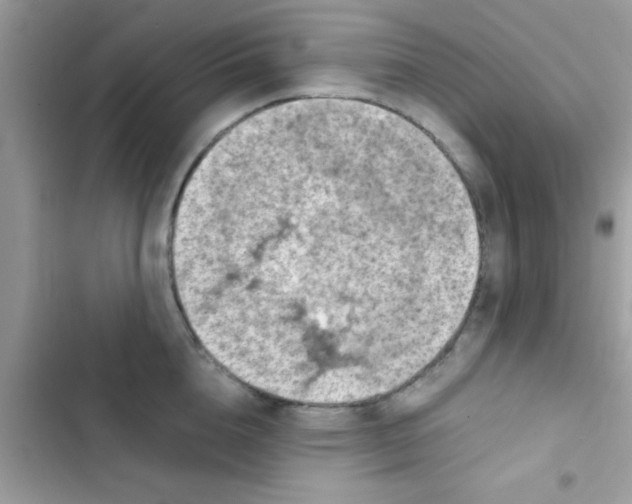 X0000103140856200809192003