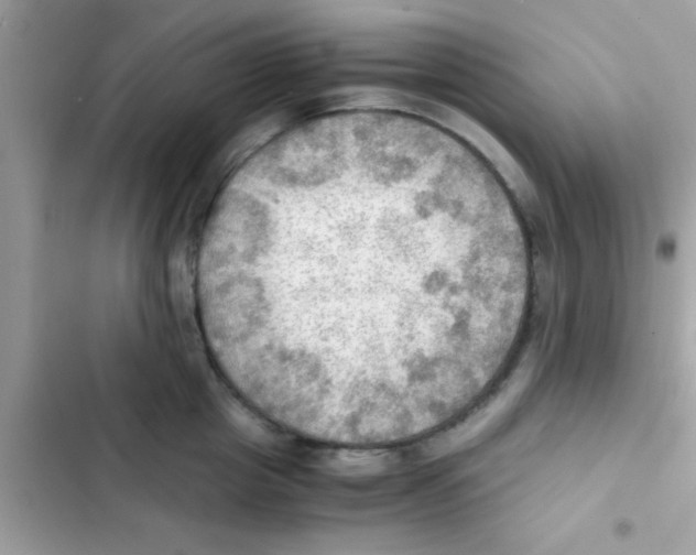 X0000103140857200809192004