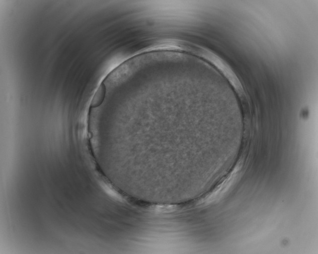 X0000103140858200809192004