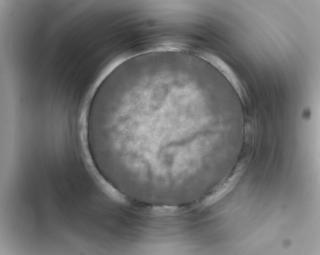 X0000103140859200809192004