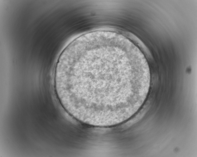 X0000103140860200809192004