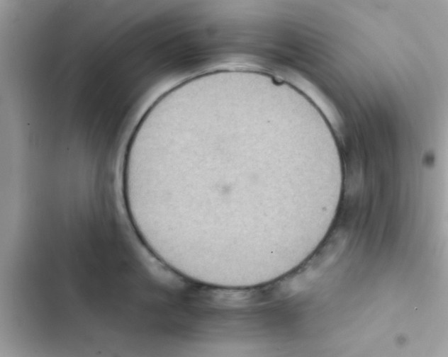 X0000103140861200809192004