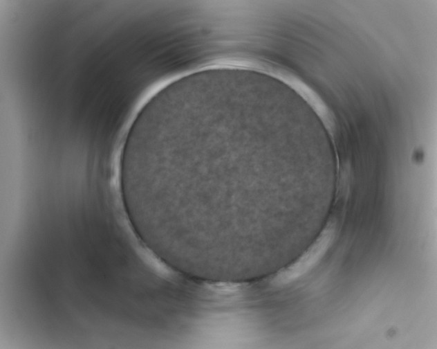 X0000103140862200809192004