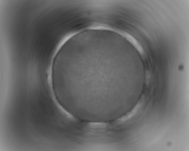 X0000103140863200809192004