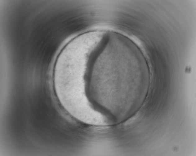 X0000103140864200809192004