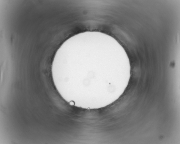 X0000103140865200809192003