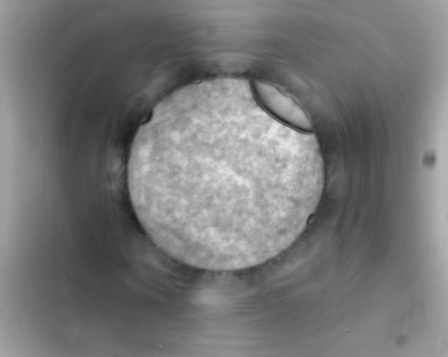 X0000103140866200809192003