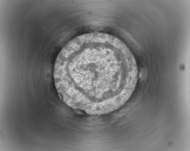 X0000103140867200809192003