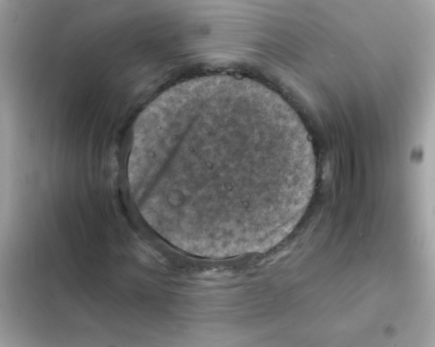 X0000103140868200809192003