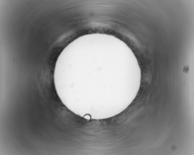 X0000103140869200809192003