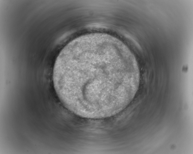 X0000103140870200809192003