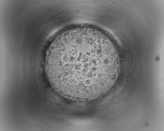 X0000103140871200809192003