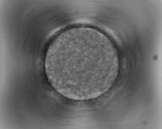 X0000103140872200809192003