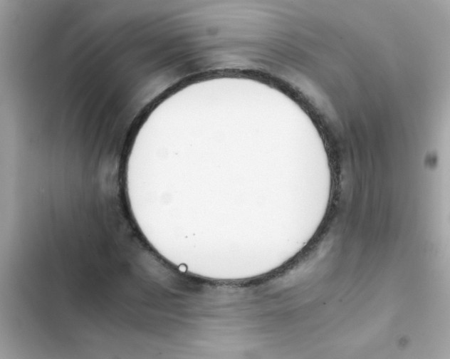 X0000103140873200809192003