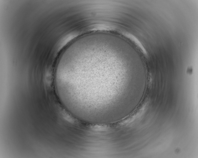 X0000103140874200809192003