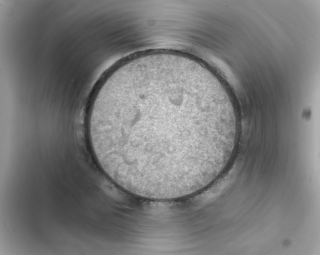 X0000103140875200809192003