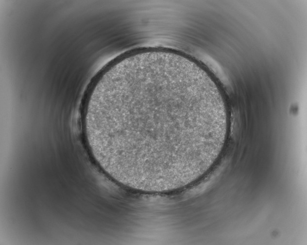 X0000103140876200809192003