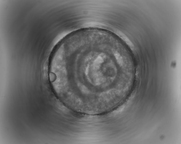 X0000103140877200809192003