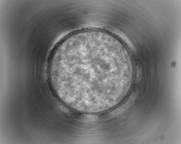 X0000103140878200809192003