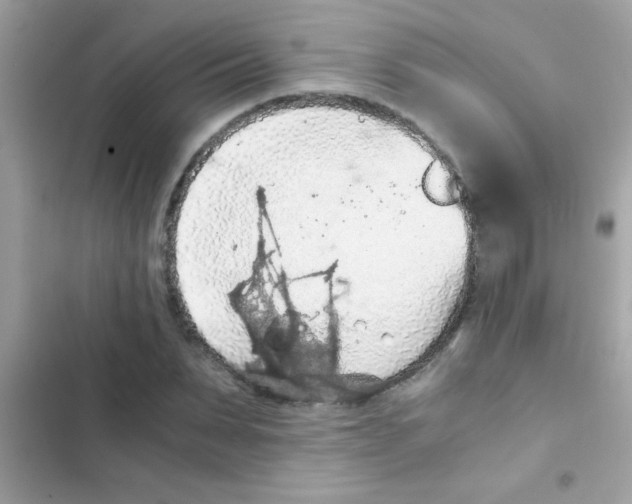 X0000103140879200809192003