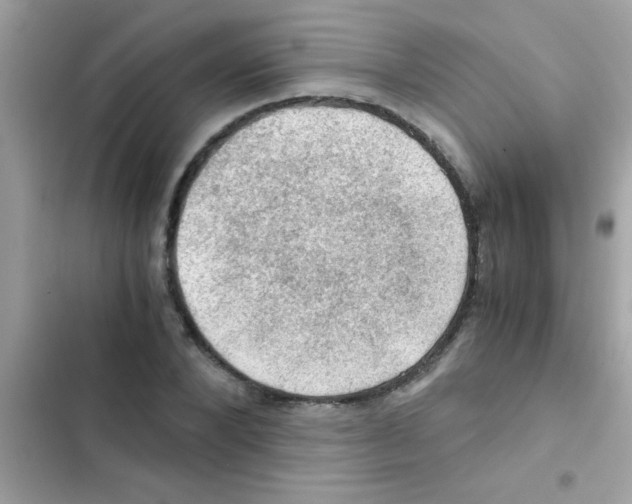 X0000103140880200809192003